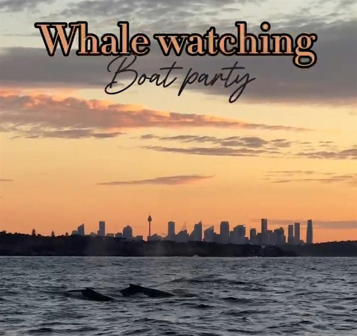 Whale Watching Tour with Lost and Found in Sydney