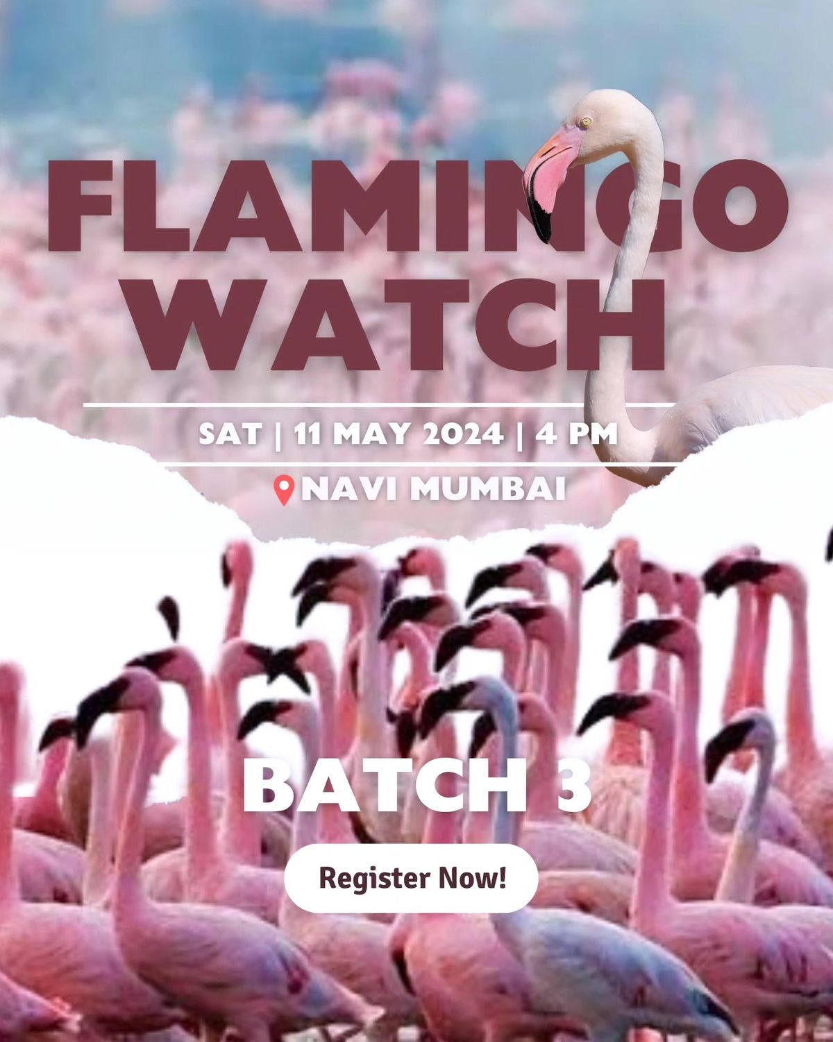 Flamingo Watch