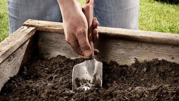 Prepping Your Garden Beds for Winter