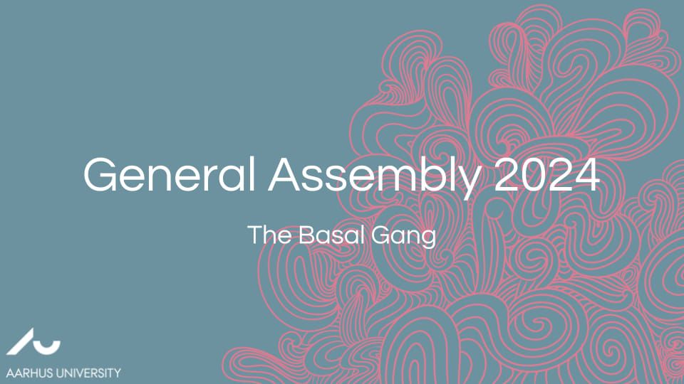 Basal Gang: General Assembly 2024