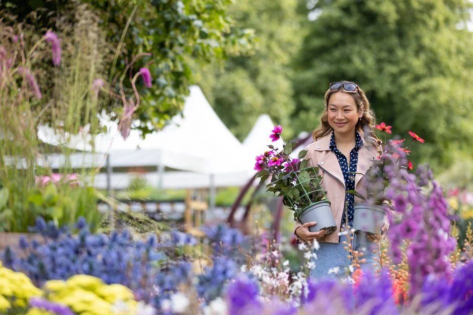 RHS Rosemoor Flower Show