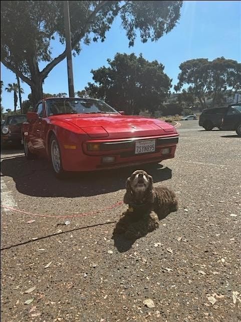 Porsche Pours and Pups Charity Event