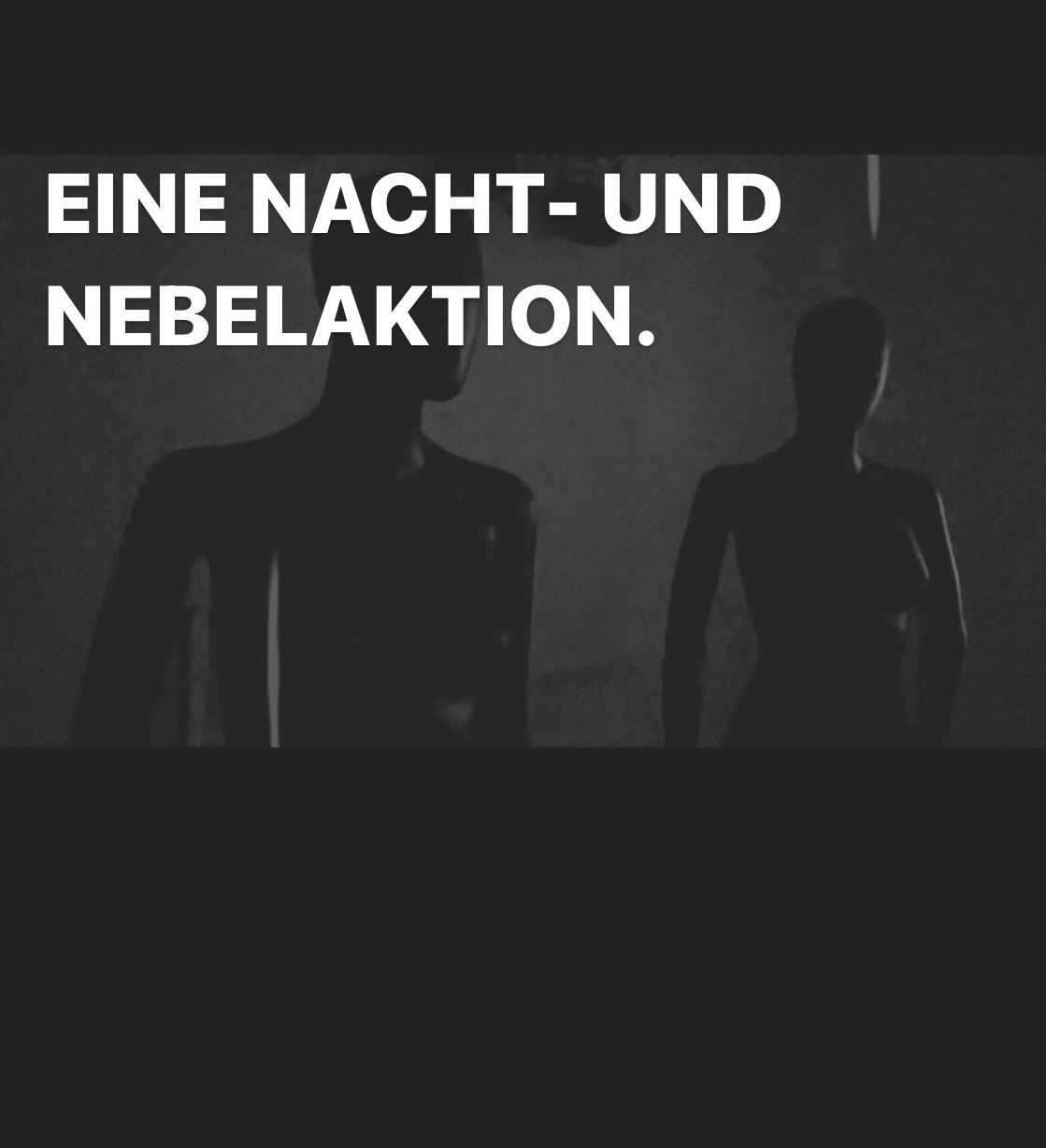 EINE NACHT- UND NEBELAKTION.