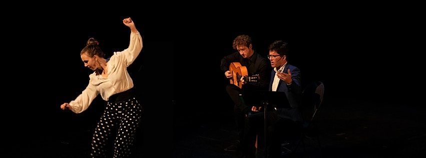 Dark Sounds: Poetry & Flamenco ft. Jan Zwicky