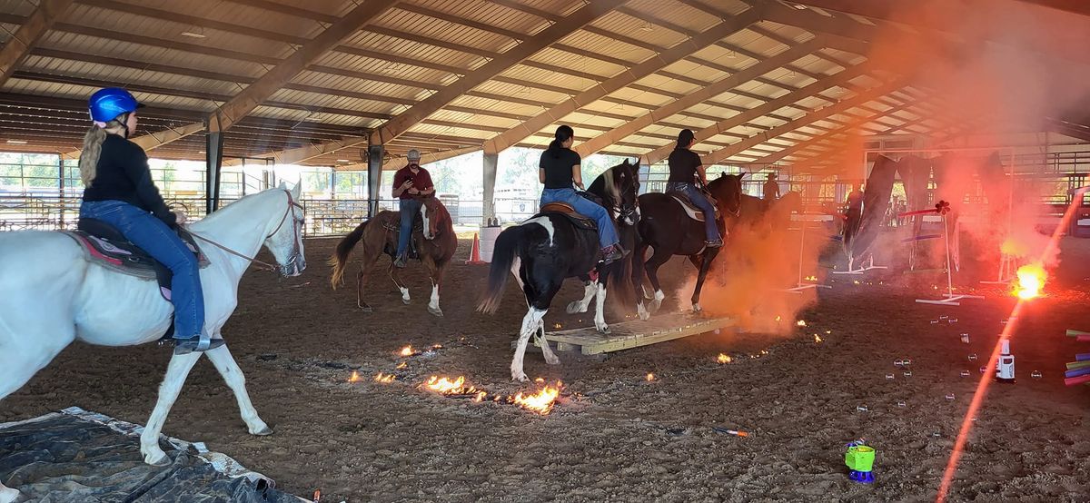 Equine Sensory Training