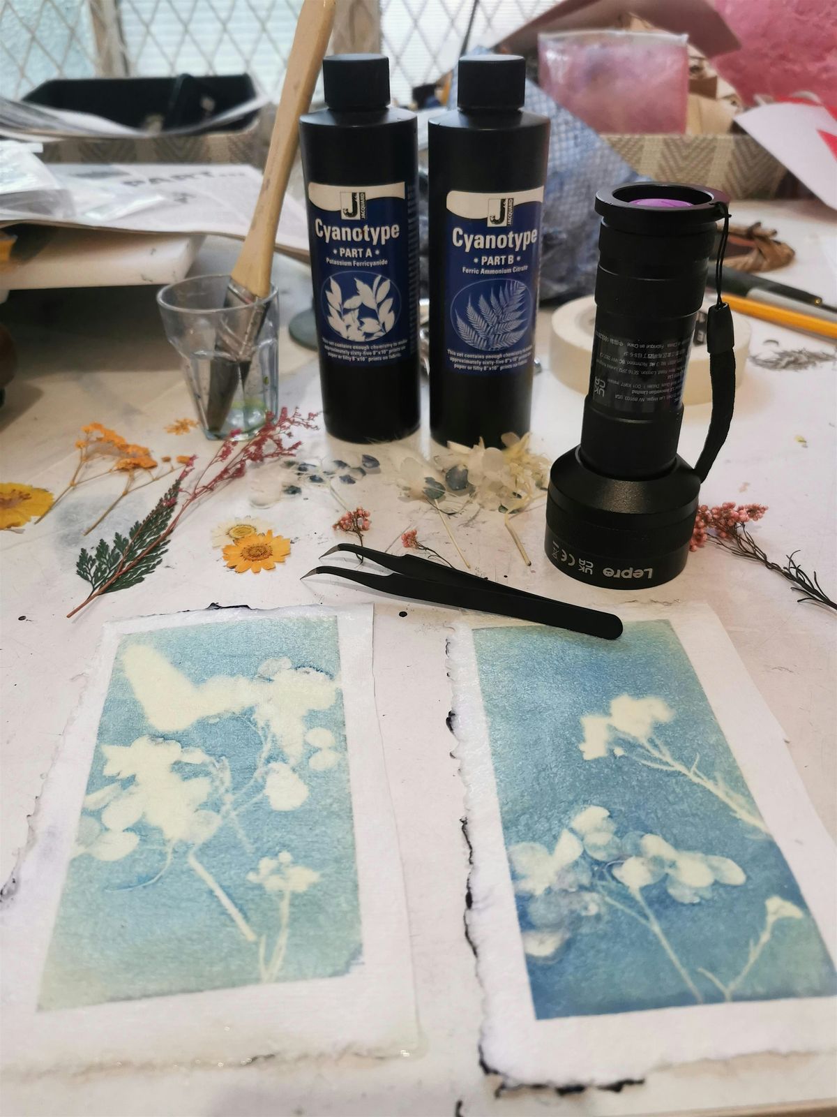 Printmaking - Botanical cyanotype workshop