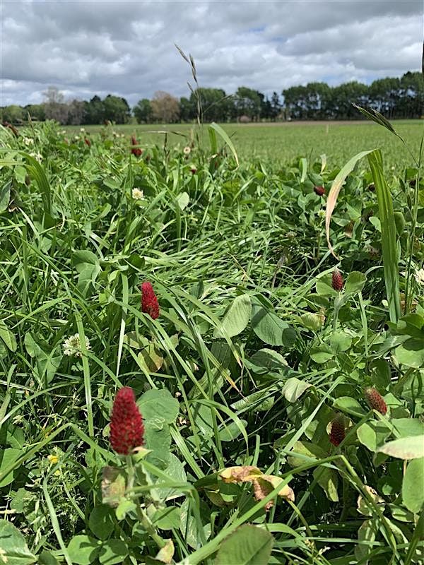 2nd Annual  Whenua Haumanu Field Day