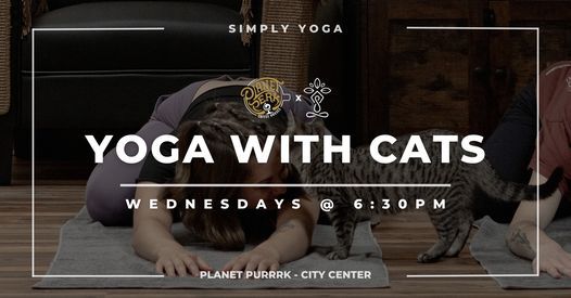 YOGA with CATS