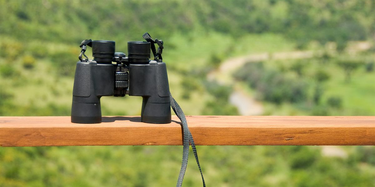 Winter Bird Walk (Adults and Teens, Ages 12+)