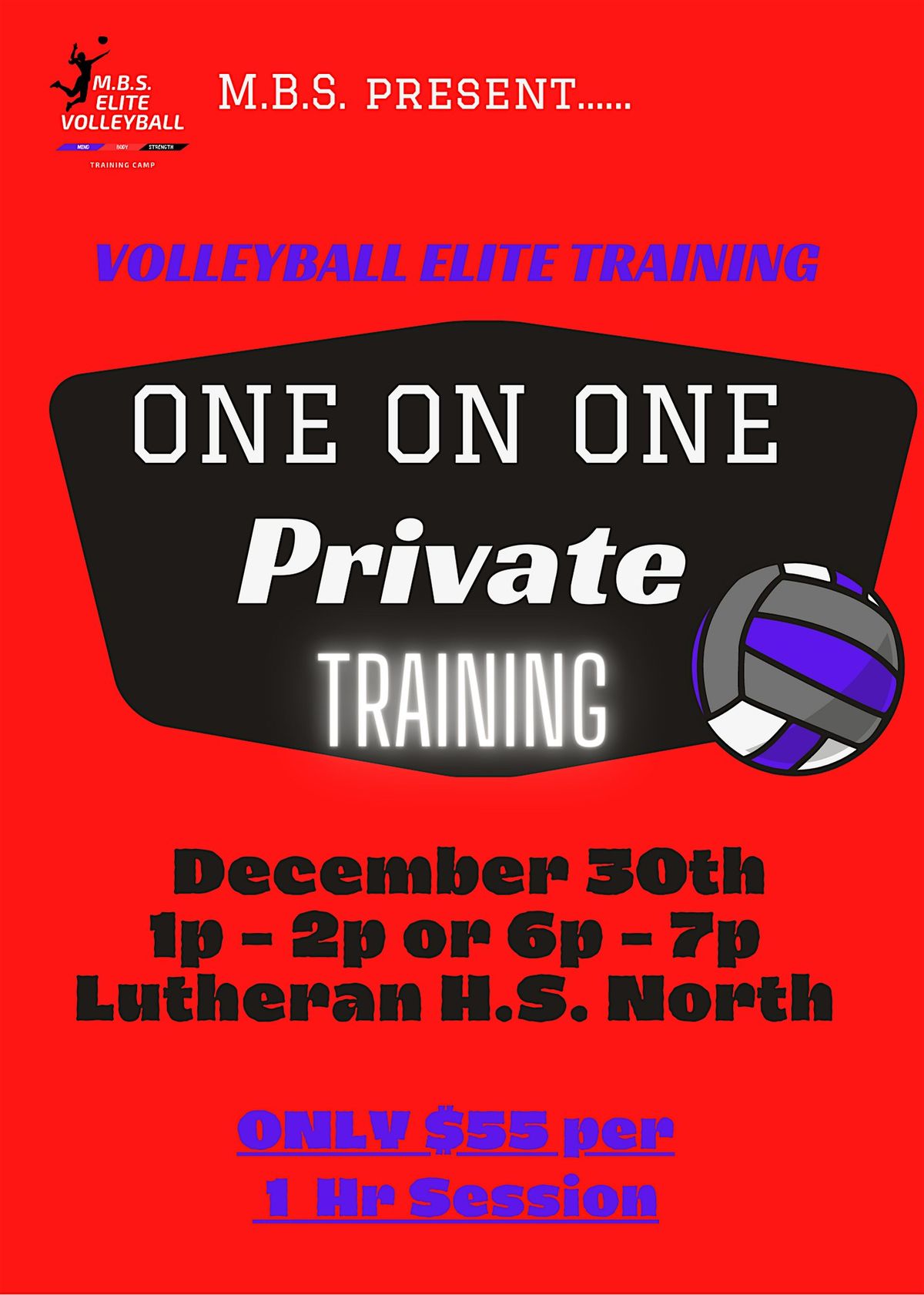 One on One \/ Group Elite Volleyball Training