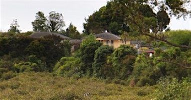 Whau River Clean-Up