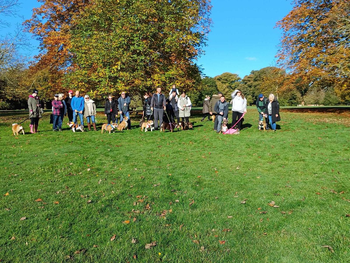 Midlands (Bosworth Country Park) Bulldog Walk for GBSR UK