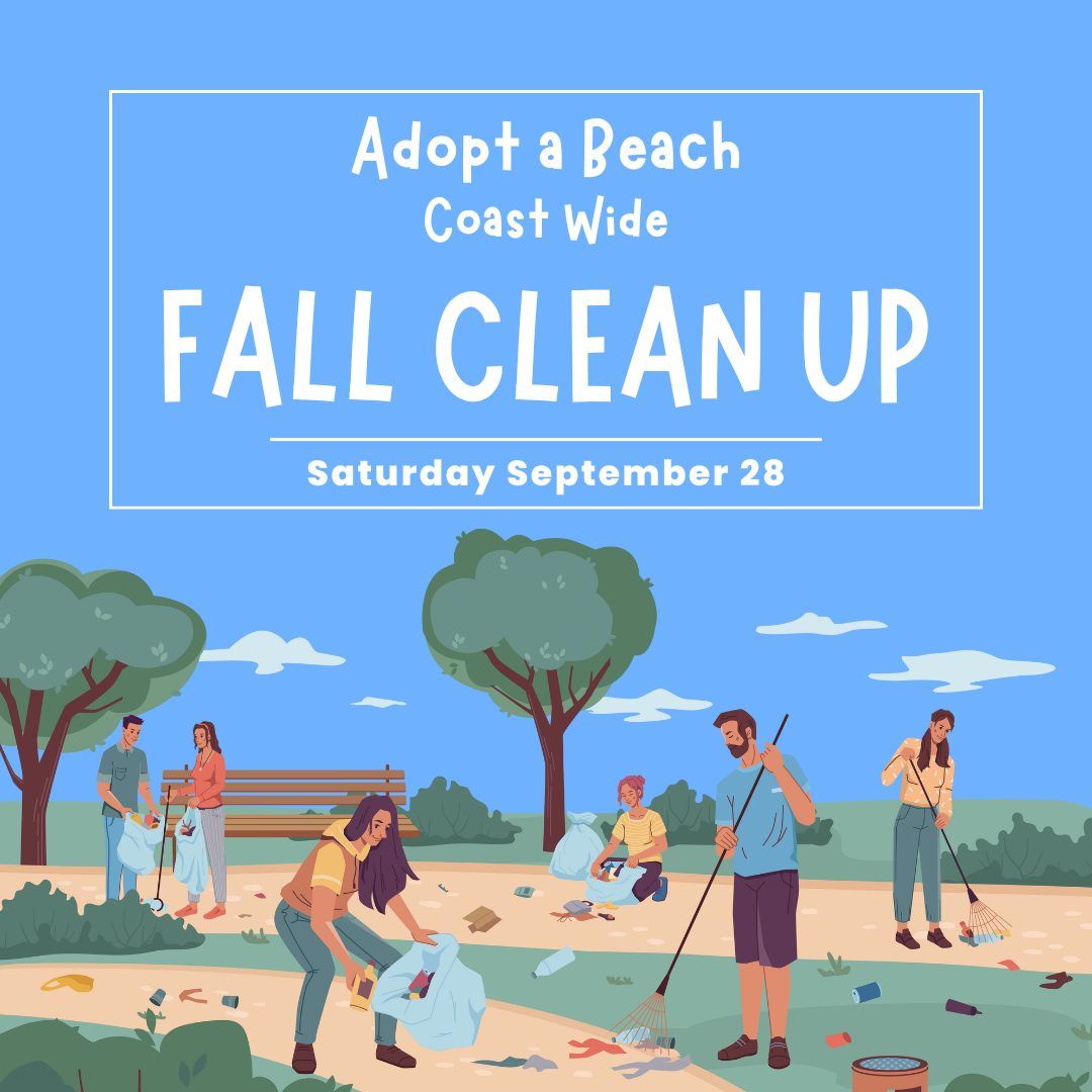 Adopt A Beach Cleanup Day in Galveston, TX