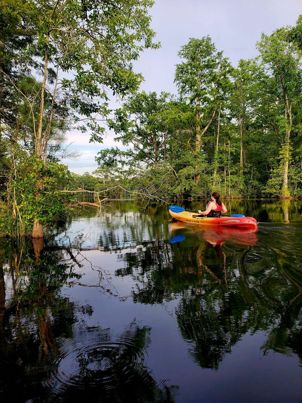 Guided Kayak Tour