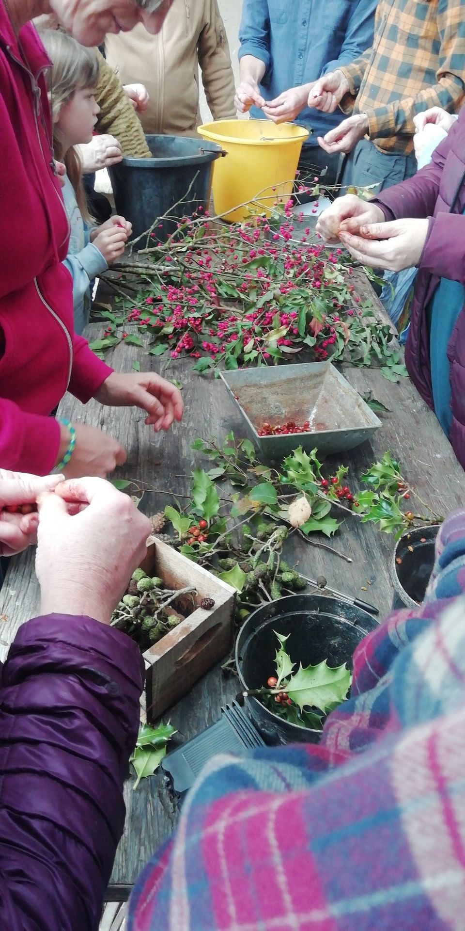 Learn to Save and Collect Seeds & Start Your Own Tree Nursery