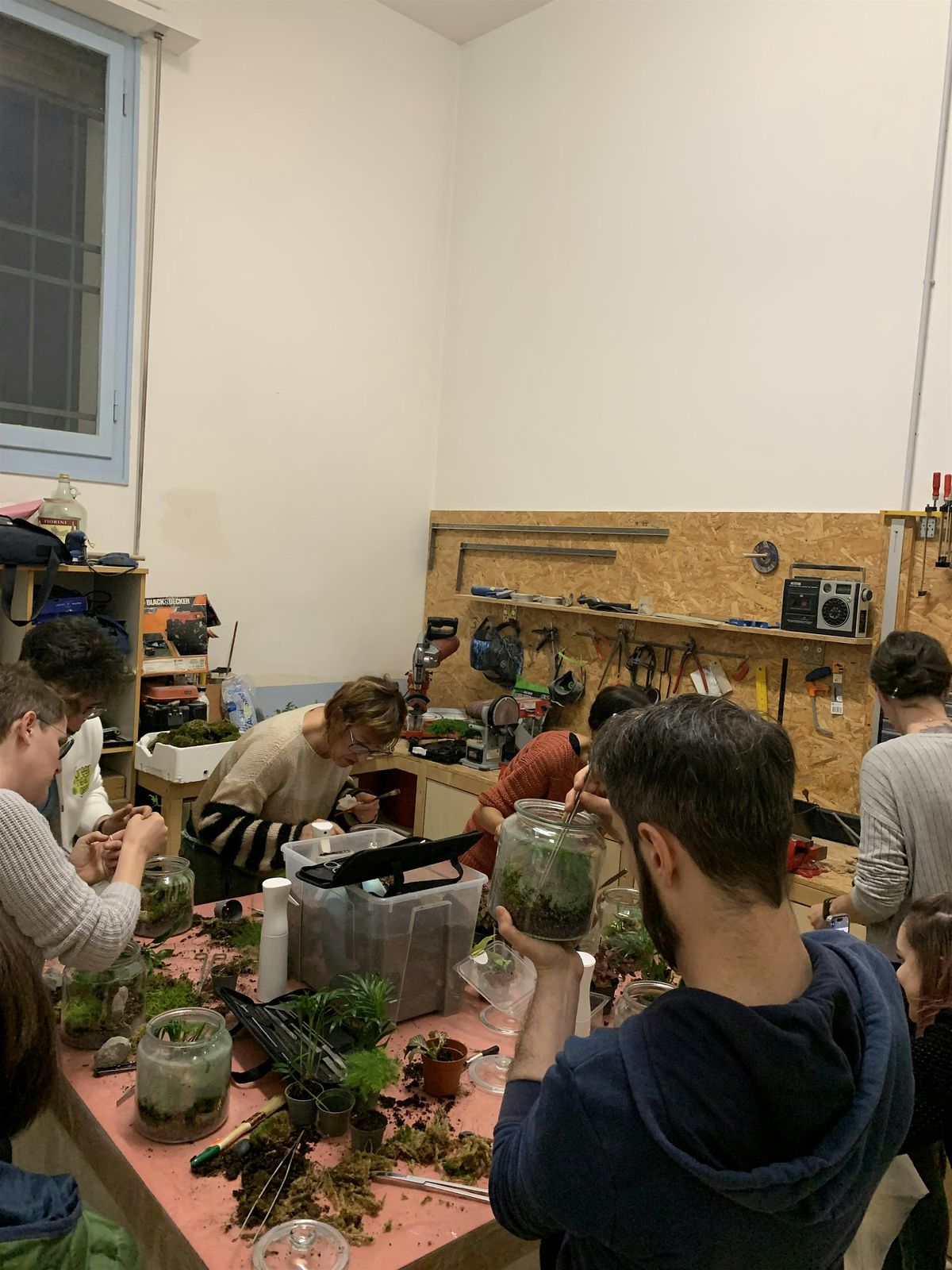 Workshop TERRARIUM