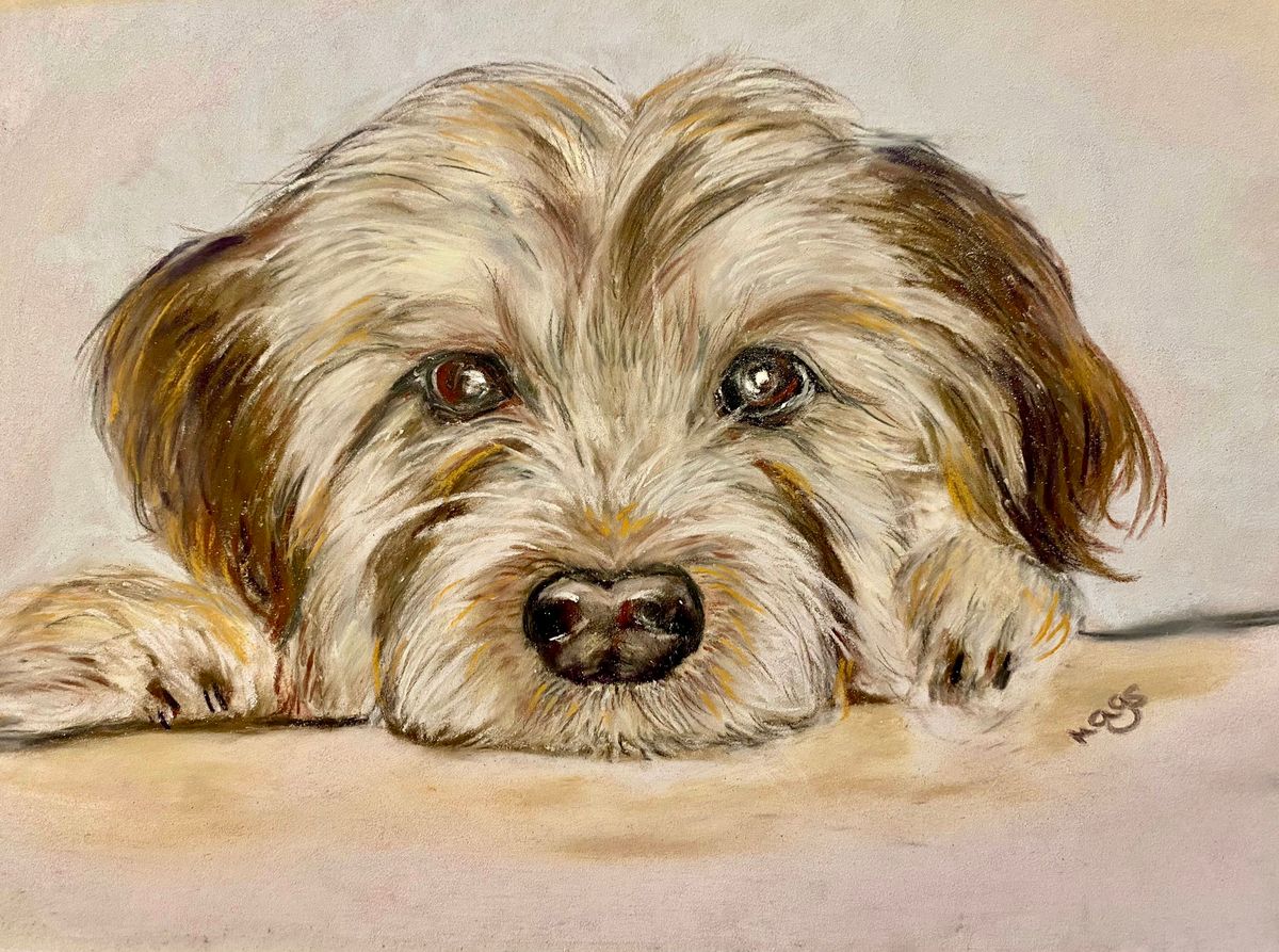 SOLD OUT - Children's Art Workshop - Scruffy Mutt