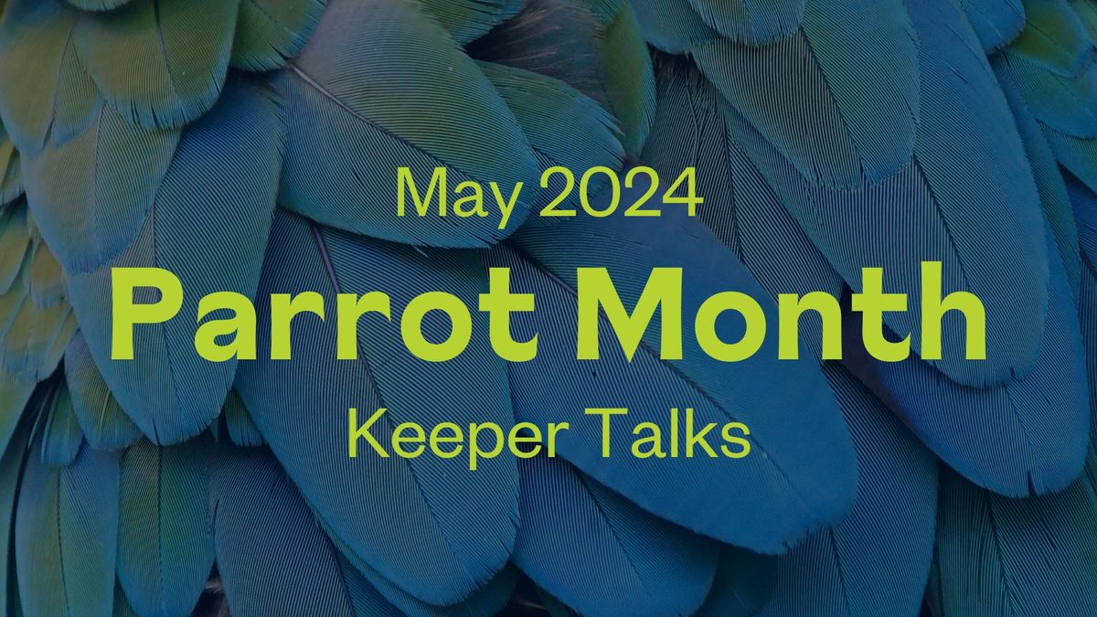 Parrot Month Keeper Talks - Macaw