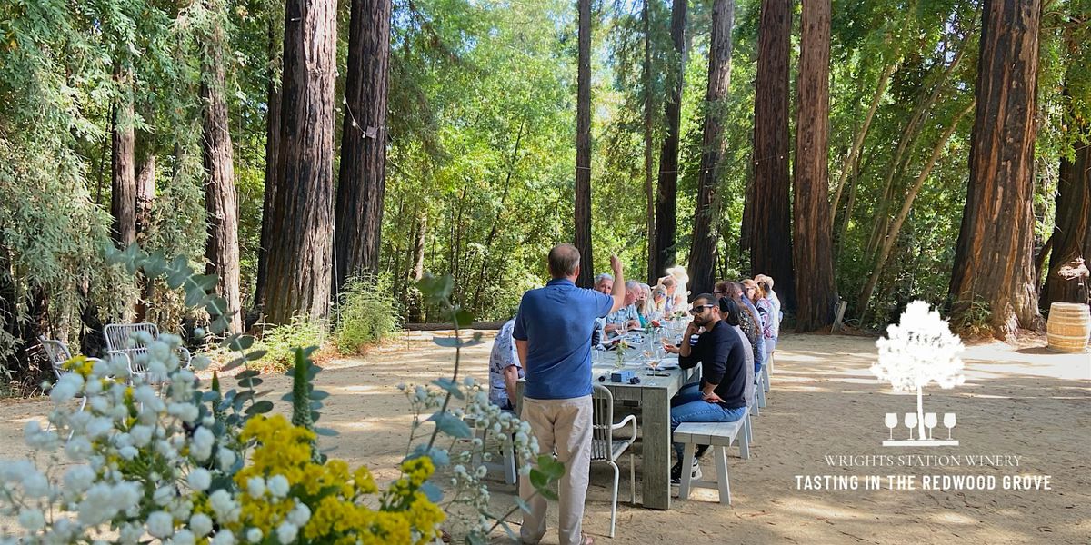 Wine Tasting in the Redwood Grove  w\/ Winemaker Dan Lokteff