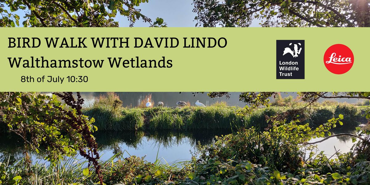 Walthamstow Wetlands Bird Walk guided by David Lindo