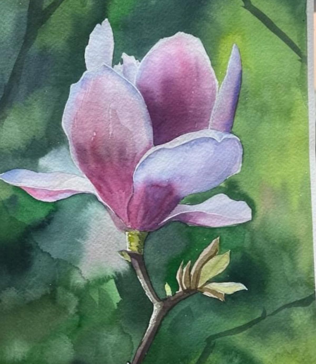 Watercolour Magnolia 