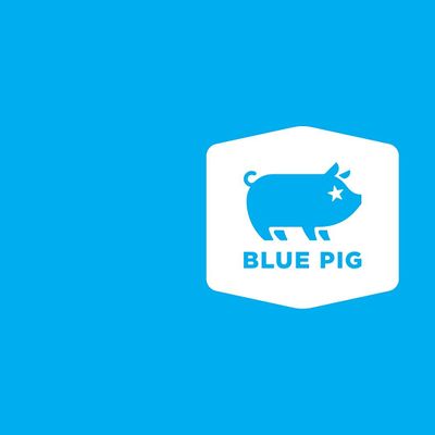 Blue Pig Presents