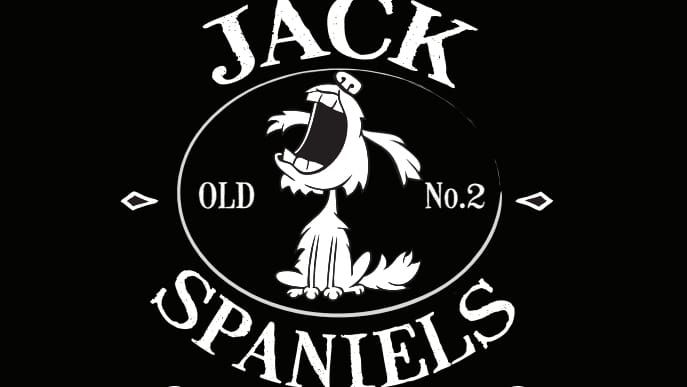 Jack Spaniels live at The Hop Monkey Dean Clough