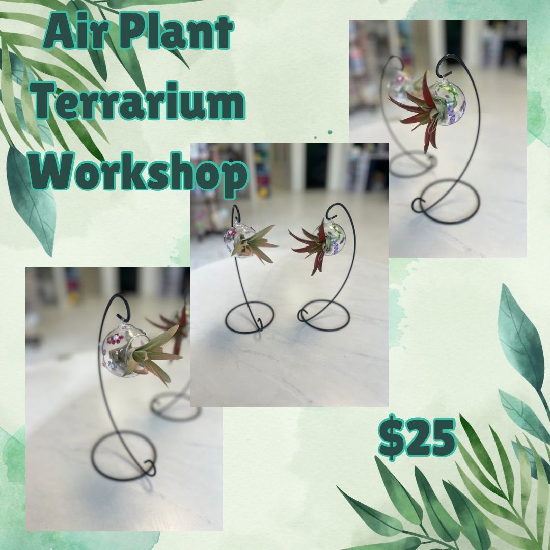 Air Plant Terrarium Workshop