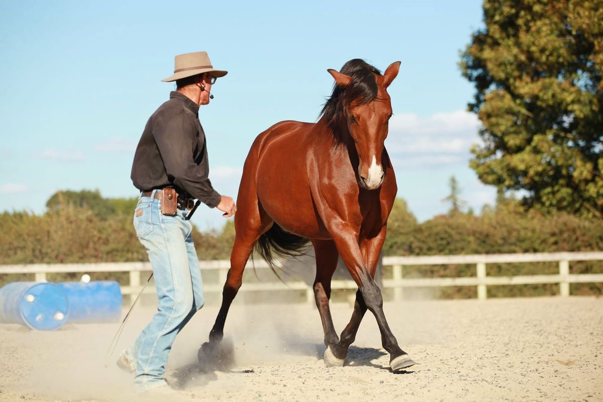 Russell Higgins Foundation Horsemanship