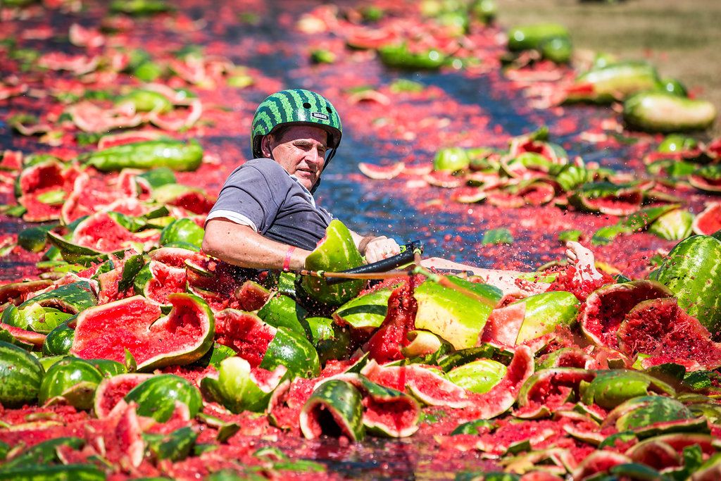 2025 Chinchilla Melon Festival