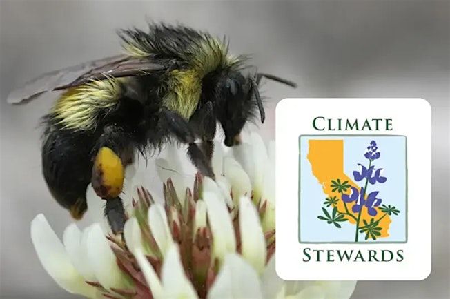 UC Environmental Stewards: Climate Steward