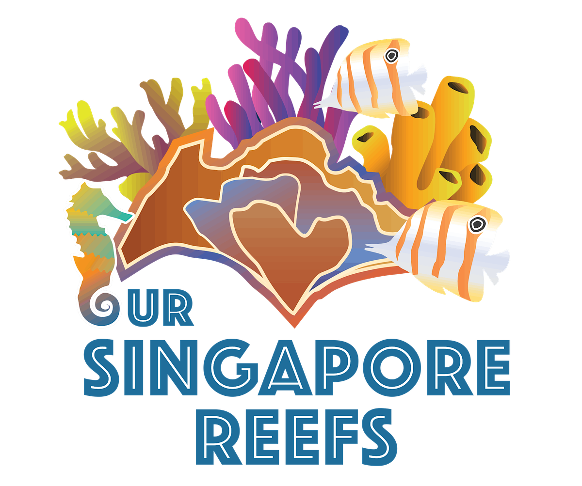 [Children's Workshop] What do you sea? by Our Singapore Reefs