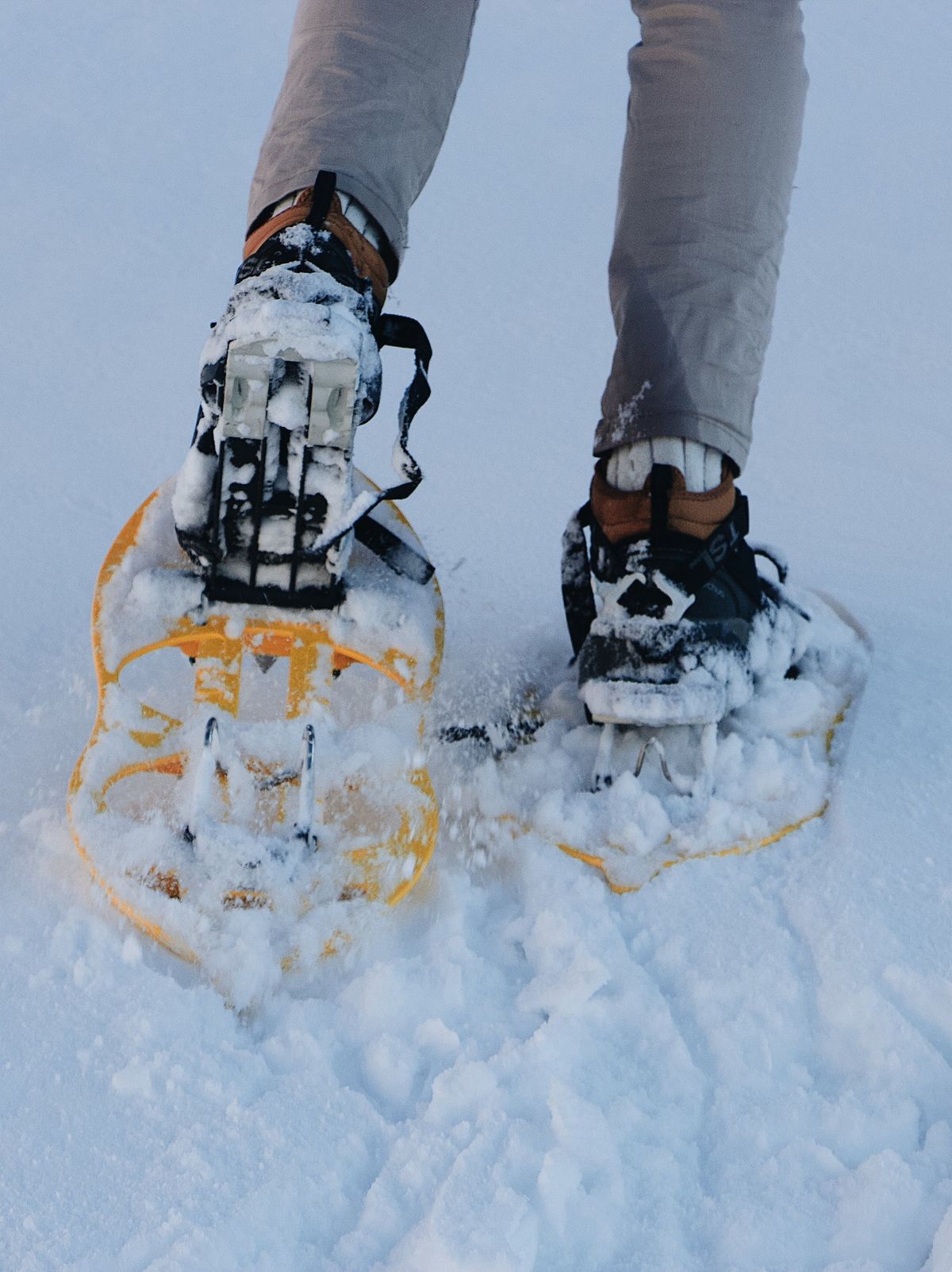 Snowshoe Hike to Devil's Pulpit at Sholan Farms (All ages)