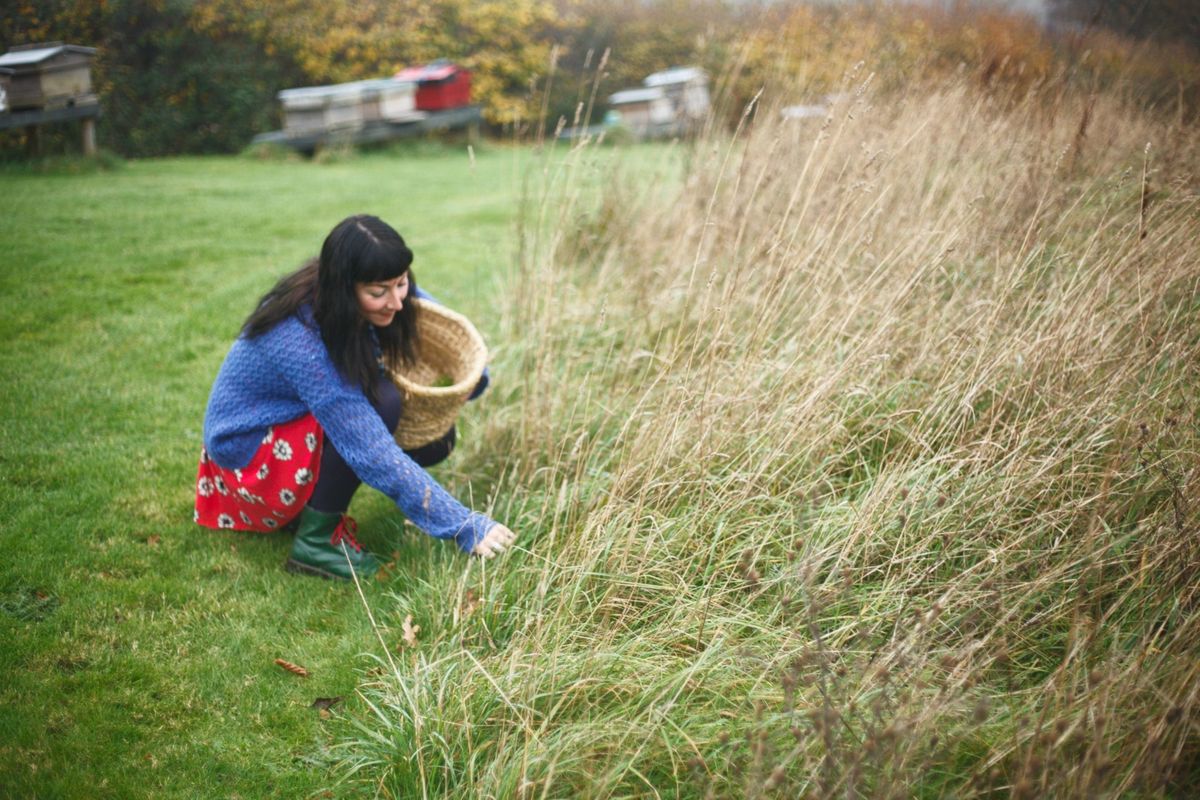 Wild Spice Foraging Course