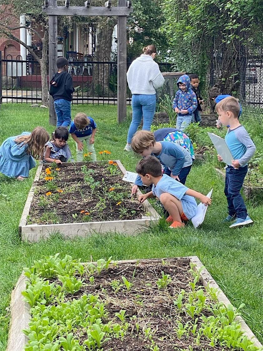 Cultivating Curiosity and Wonder in the Garden