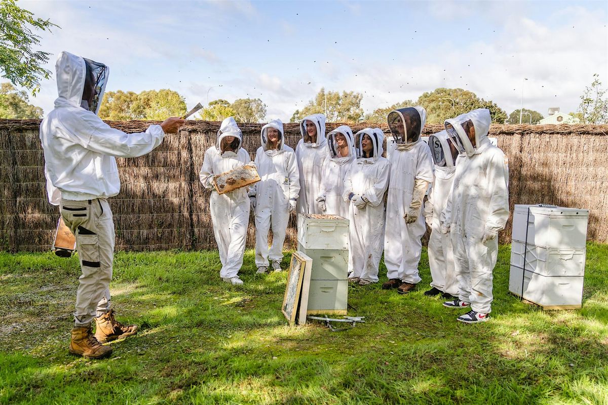 1.5hr Group Swan Valley Beekeeping Experience