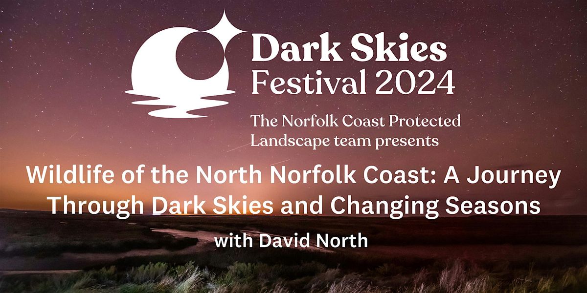 Wildlife of the North Norfolk Coast: A Journey Through Dark Skies and Changing Seasons