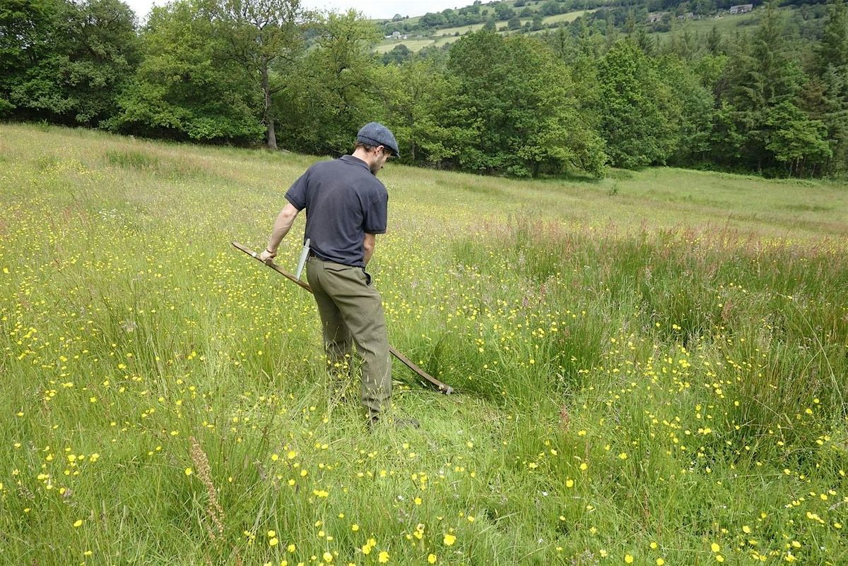 Learn to scythe: 3 day intermediate course