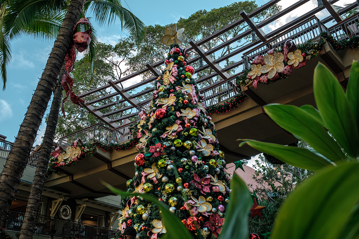 Parking A Charlie Brown Christmas - Honolulu