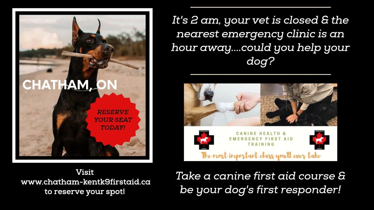 Canine Health & Emergency First Aid - Chatham, Ontario