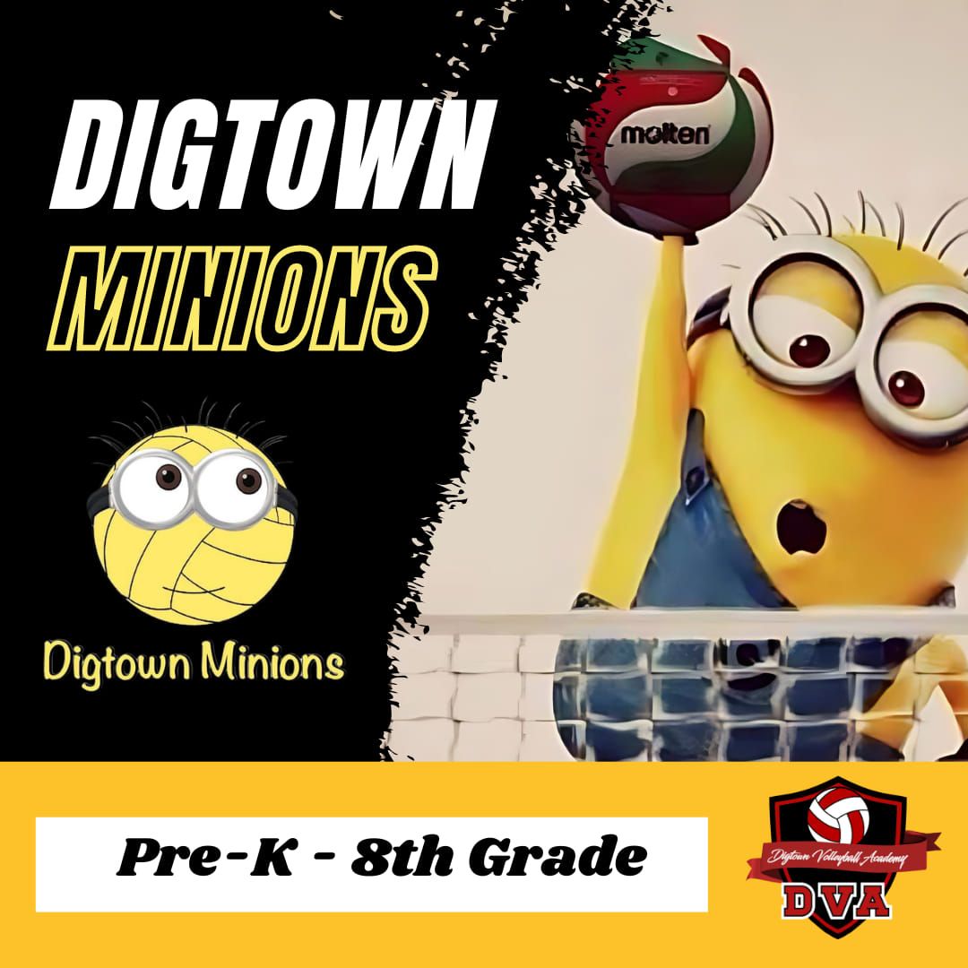 Minions Youth Volleyball Academy - DVA