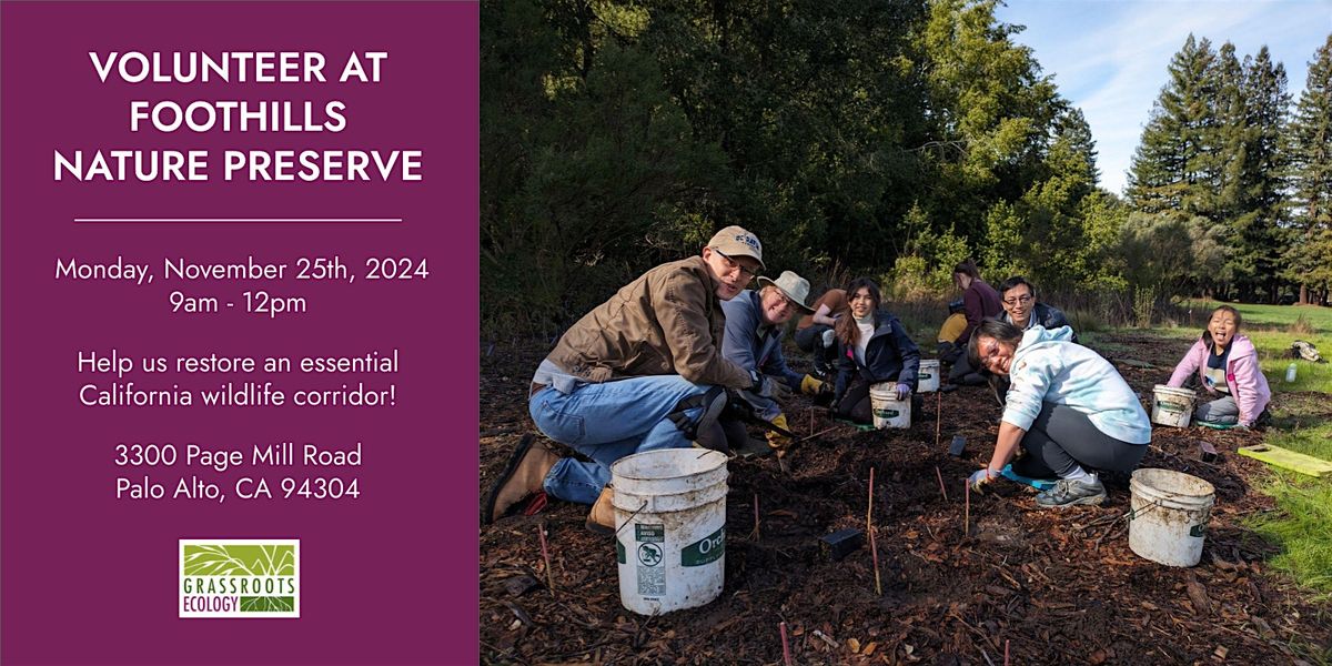 Volunteer Outdoors in Palo Alto at Foothills Nature Preserve