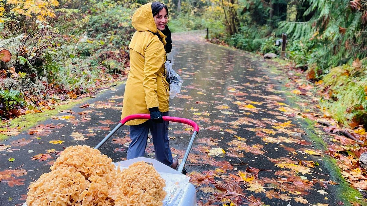 Mushroom Mania:  A Fungal Foray