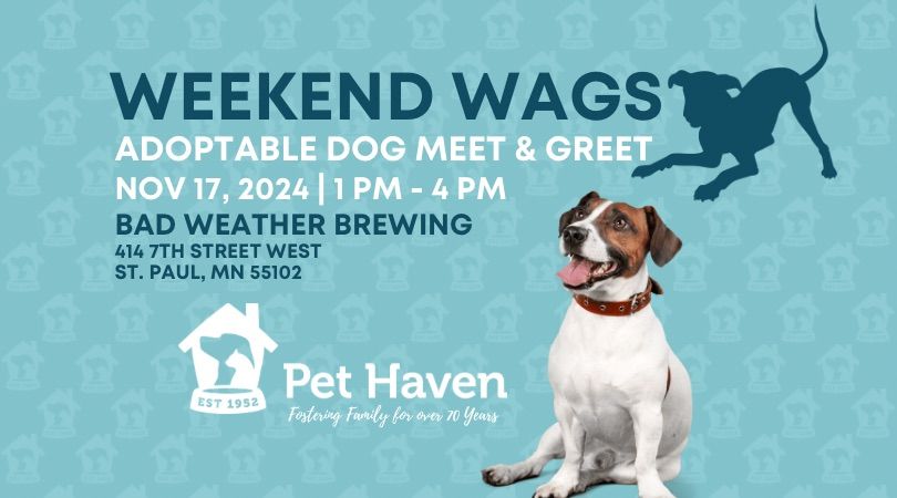 Weekend Wags! Adoptable Dog Meet!