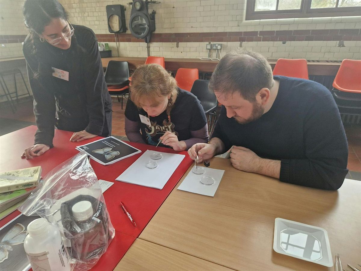 Buzz Map: Insect DNA Mapping, Walthamstow Wetlands, London Wildlife ...