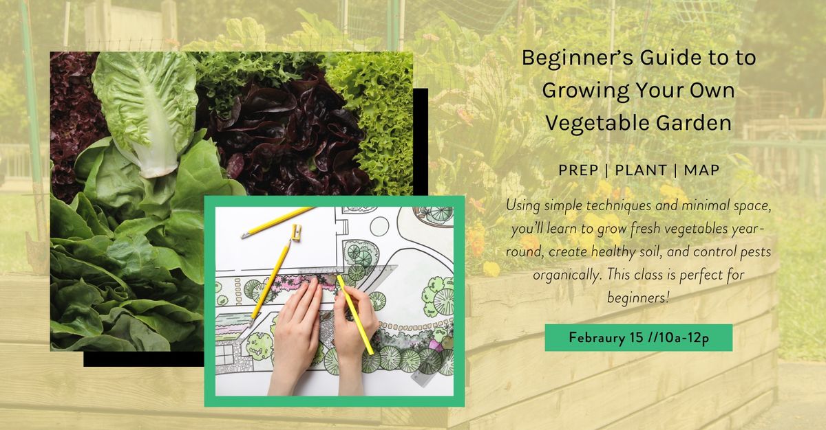 Beginner\u2019s Guide to Growing Your Own Vegetable Garden with The Garden Chick