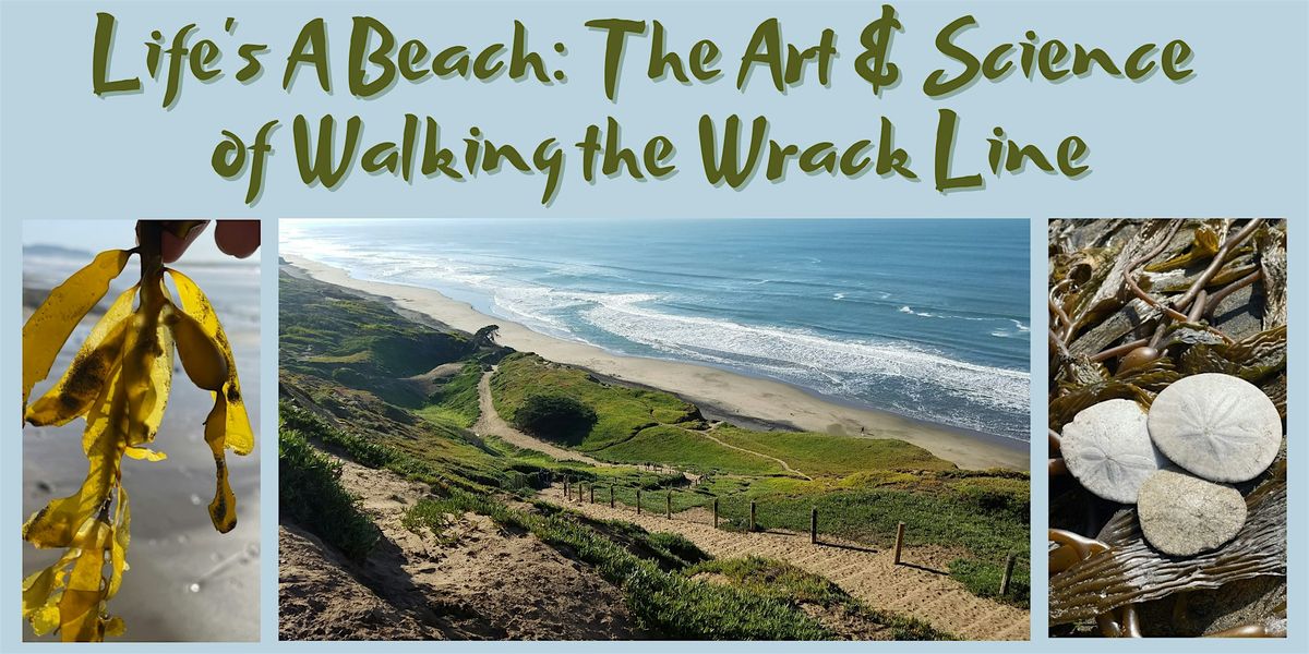 Life's a Beach: The Art & Science of Walking the Wrack Line