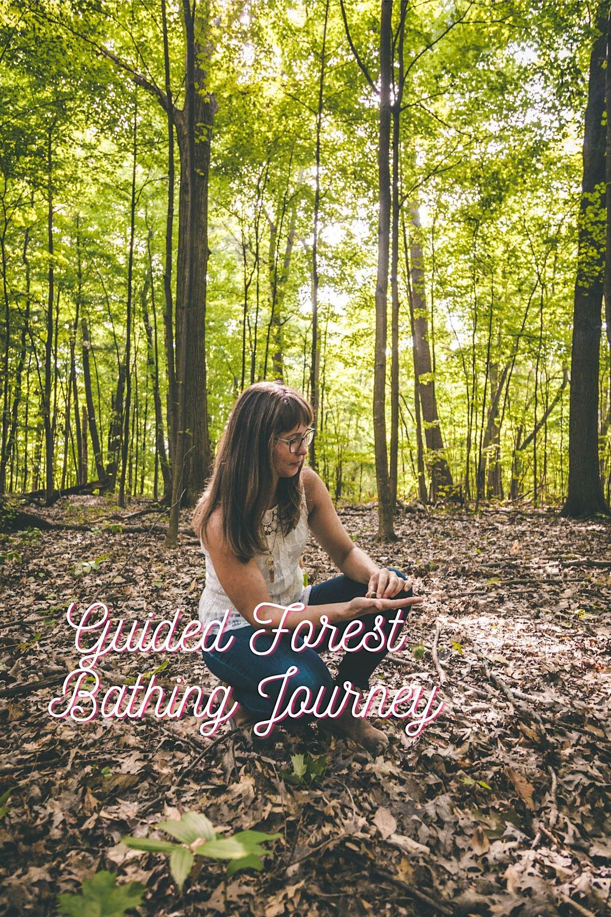Guided Forest Bathing Journey