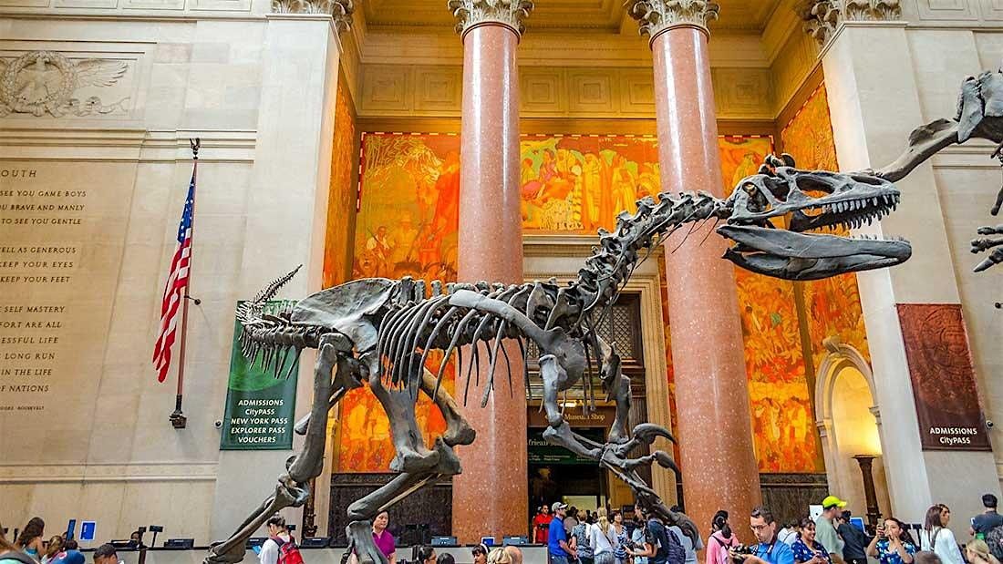 AMERICAN MUSEUM OF NATURAL HISTORY TICKETS 2024 | NYC