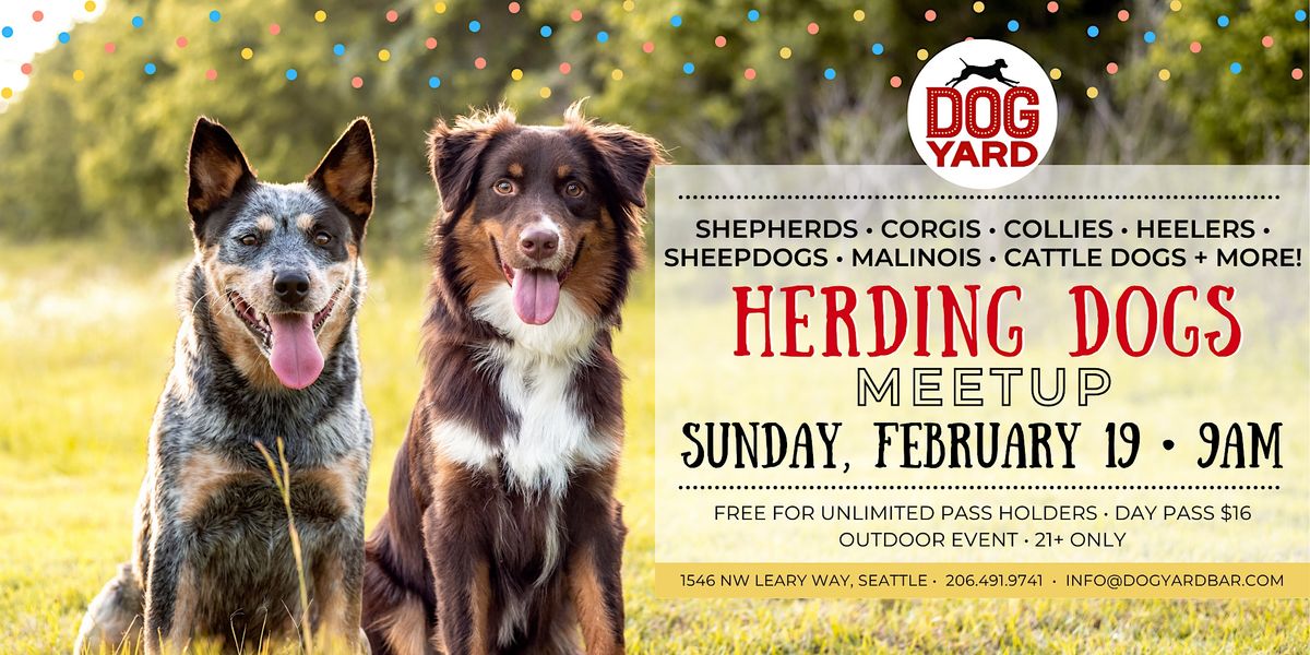 Herding Dog Meetup at the Dog Yard in Ballard - Sunday, February 19
